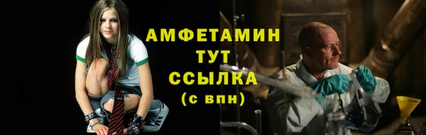 шишки Кострома