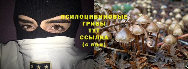 герыч Карпинск